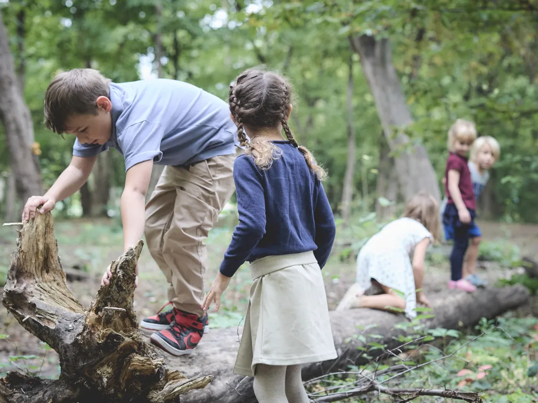 Southbridge students climbing and exploring a fallen log together in the woods