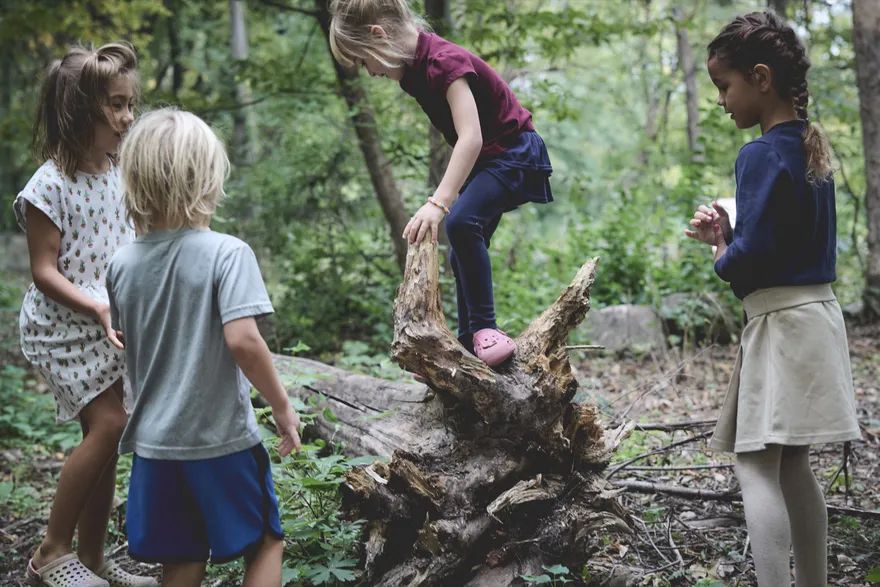 Four students playing together around a fallen tree in the woods