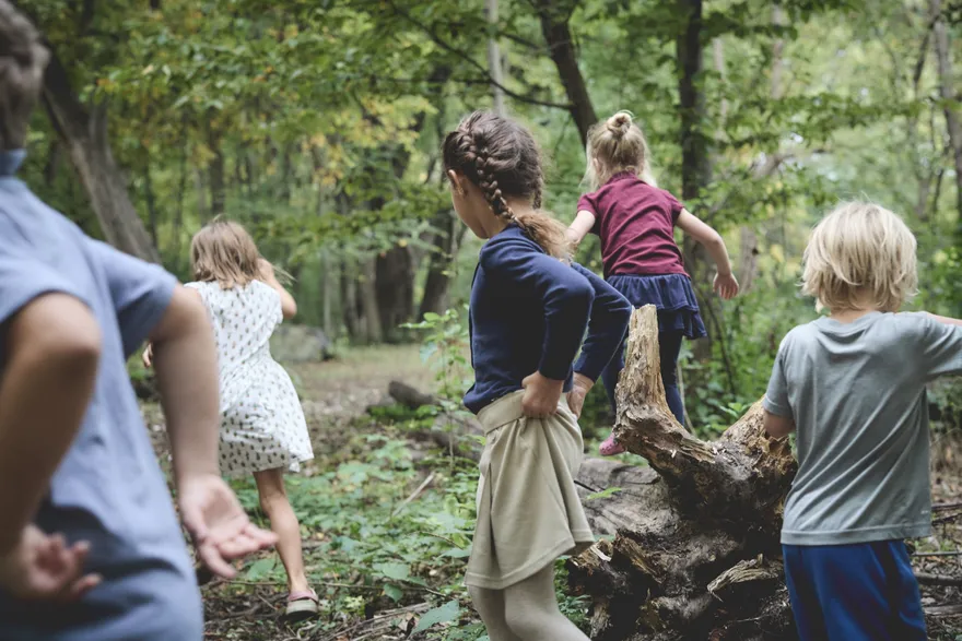 A line of students winding through the trees on a woods walk
