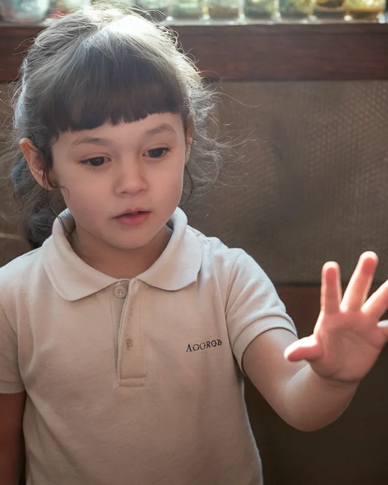 Students raising their hands in a warm, light-filled classroom